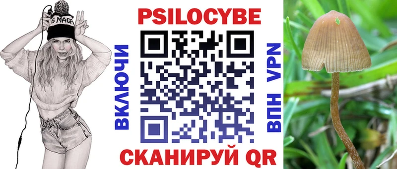 купить наркоту  Видное  Псилоцибиновые грибы Psilocybe 